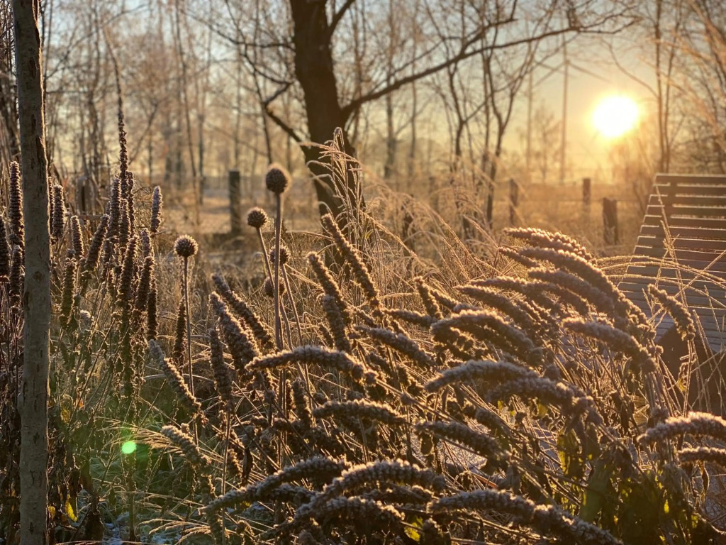 Gut Leben Landresort