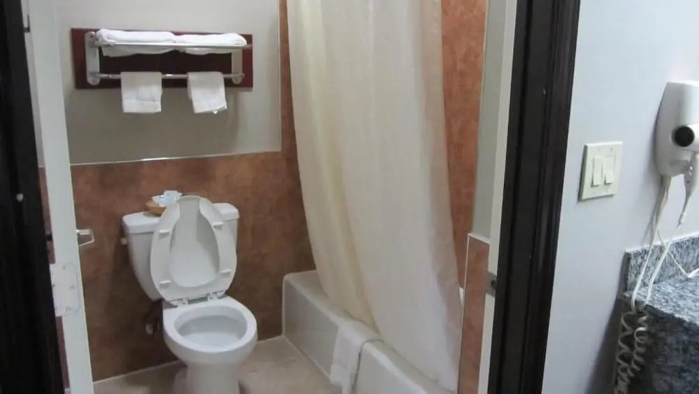 Palace Inn Greenspoint