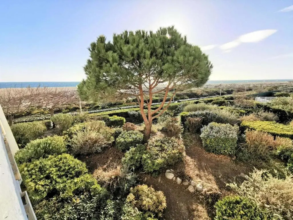 Résidence LES CYCLADES - Studio pour 4 Personnes 984