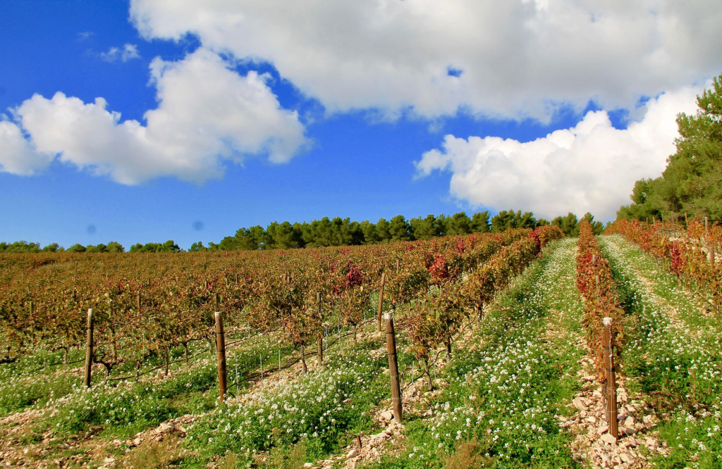 Chambres d'hôtes Domaine l'Olibaou