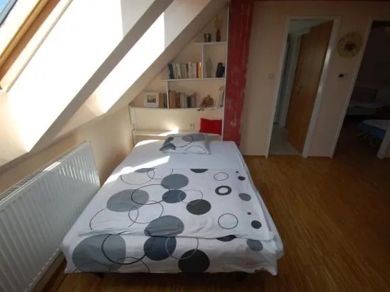 Hlinsko apartment