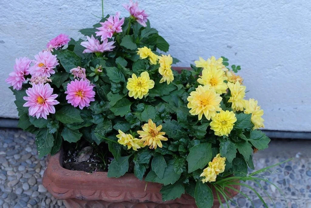 Aria di Casa B&B