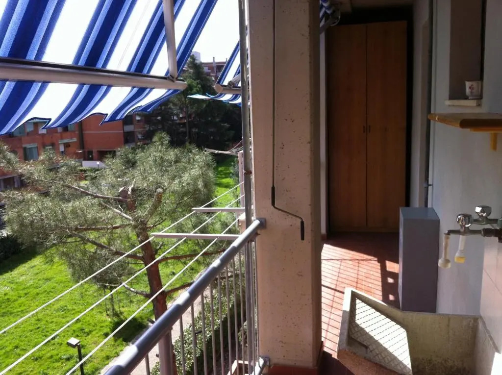 Dario's House