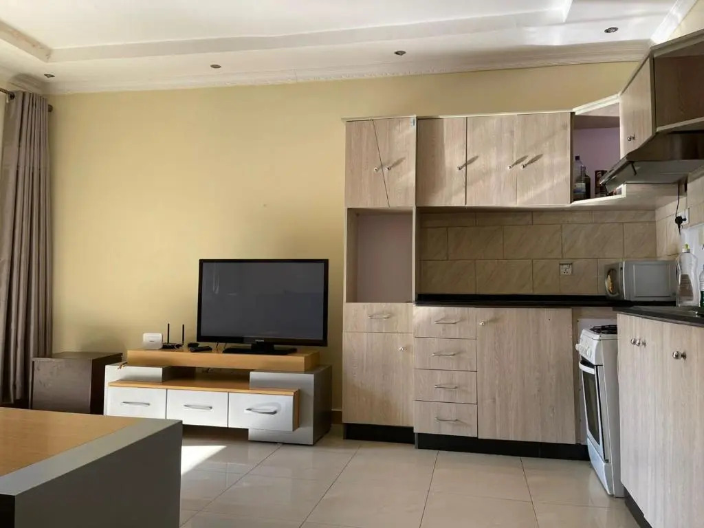 Spacious 1 Bedroom Apartment, Kigali