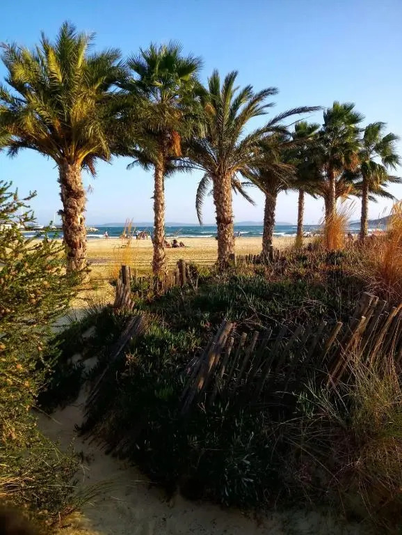 Nice 33m With Terrace Near The Beach