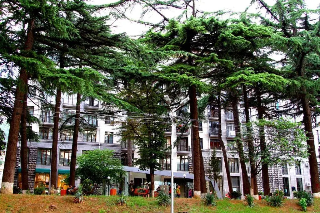 Serviced Apartment on Rustaveli Avenue 8
