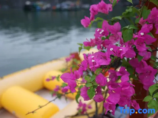 Cat Ba Fishing Village Bay House