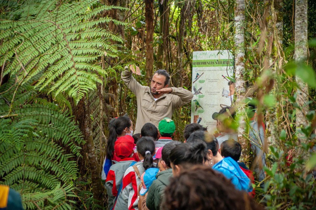 Rogitama Birding