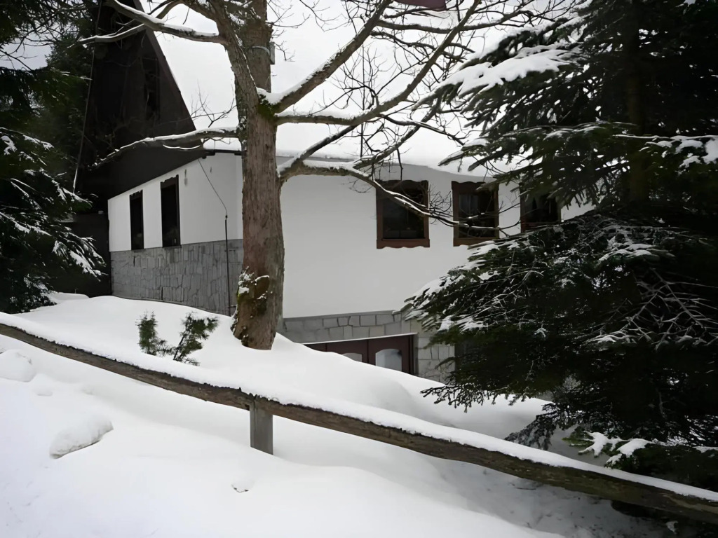 Pension Hana