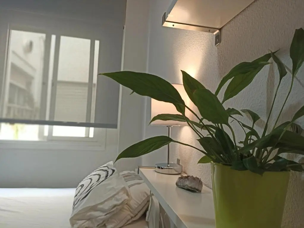 Confortable habitación céntrica en piso privado
