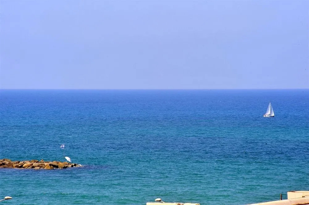 See The Sea