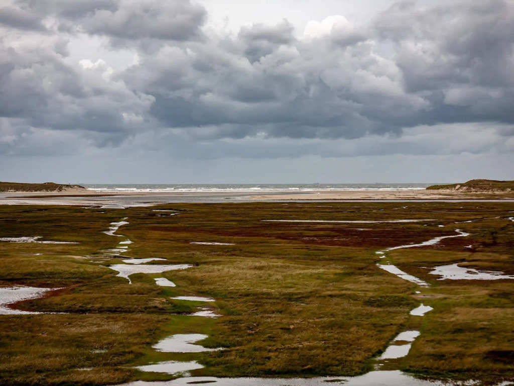 Cozy house with unobstructed view, located on Texel