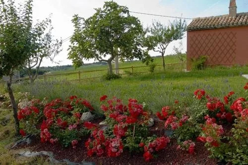 Locanda Delle Saline