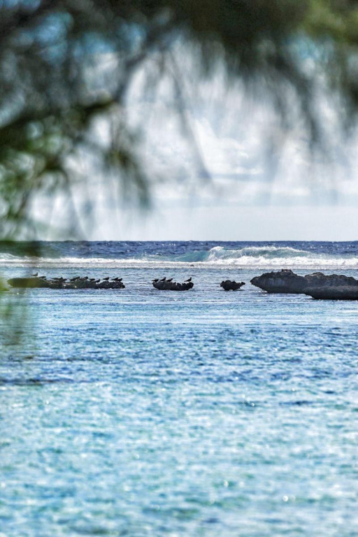 EDEN Private Island TAHAA