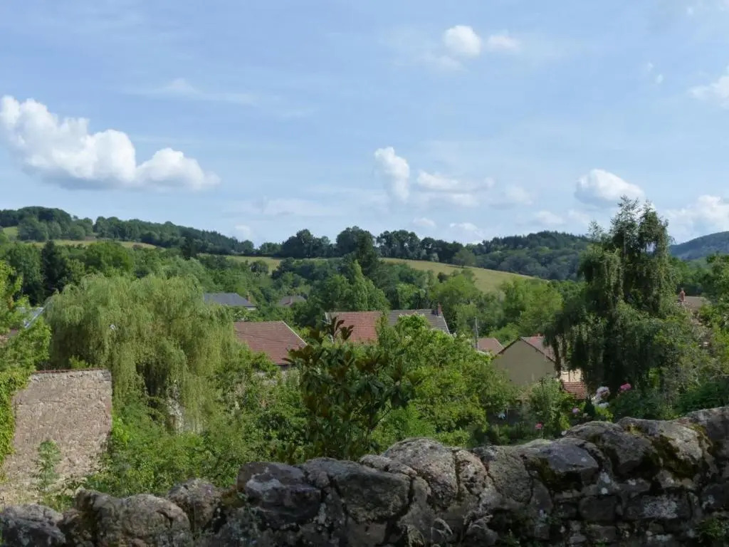 Maison de charme à Arfeuilles pour randonnées - FR-1-489-52