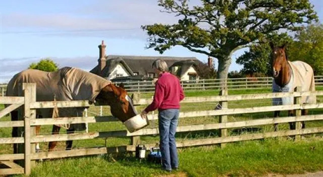 Strete Ralegh Farm