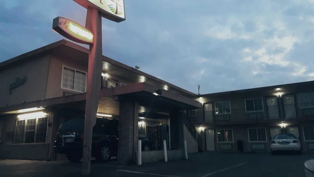 Palms motel