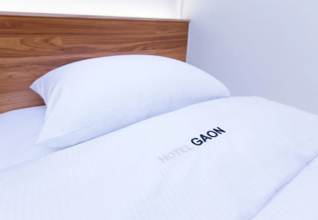 Hotel Gaon