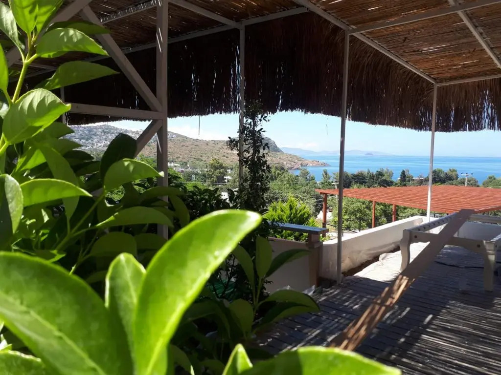 Oza Boutique hotel
