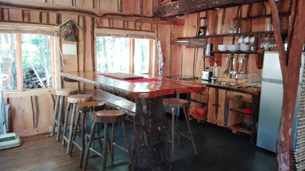Wonderful rustic cabin, with native trees, with Rio Trancura, equipped