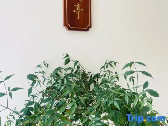 Jinglu Homestay