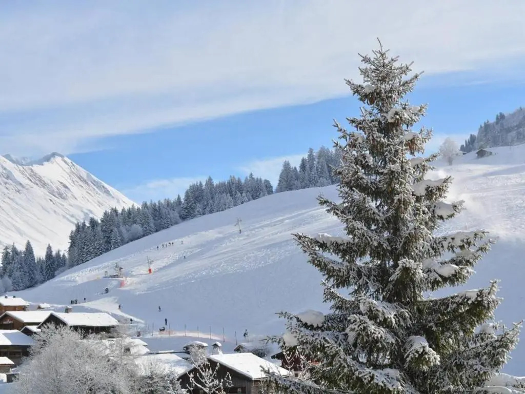Appartement Le Grand-Bornand, 1 pièce, 4 personnes - FR-1-241-116