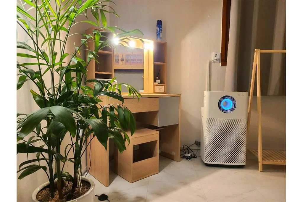 gangneung fall guesthouse - Hostel