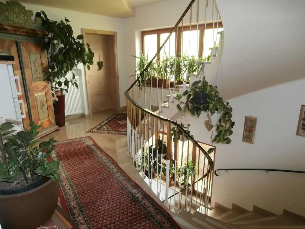 B&B - Apartments Sunnwies
