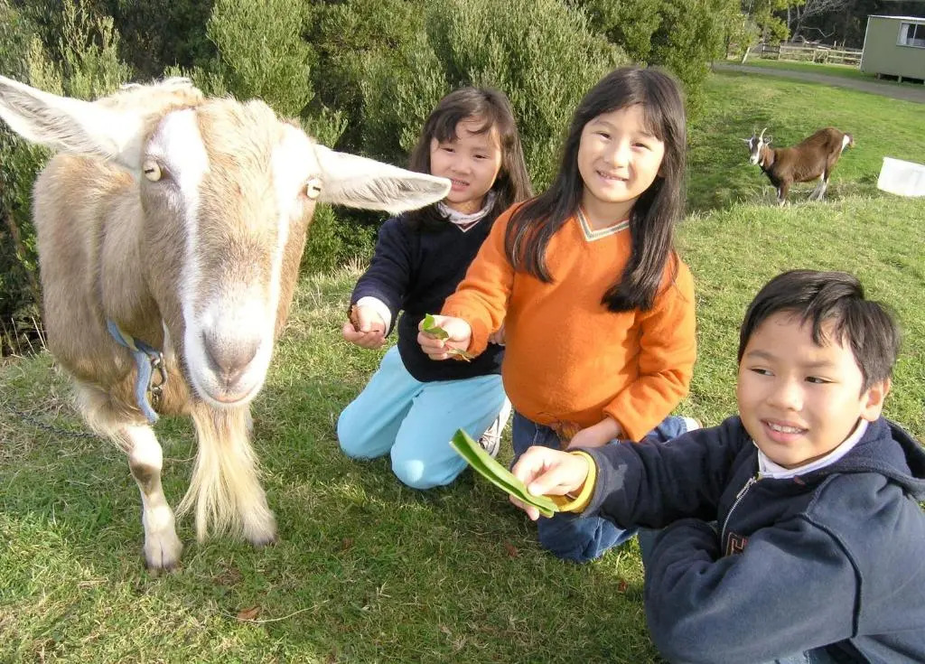 Johanna River Farm & Cottages