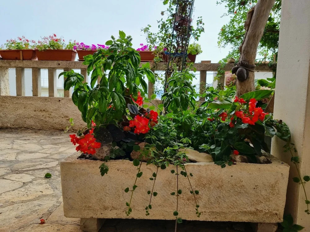 Large 120 m2 apt With Patio,1 min Walk From Beach