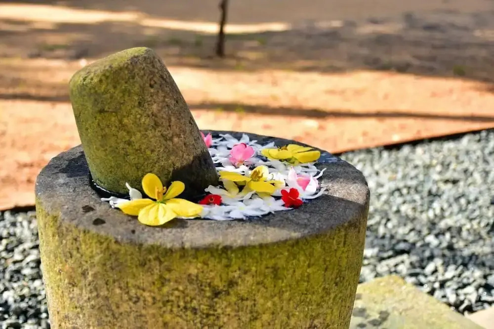 Aliya Aliya Hikkaduwa