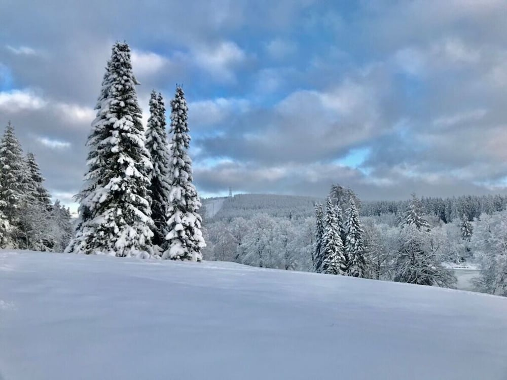 "nice Mountain View"
