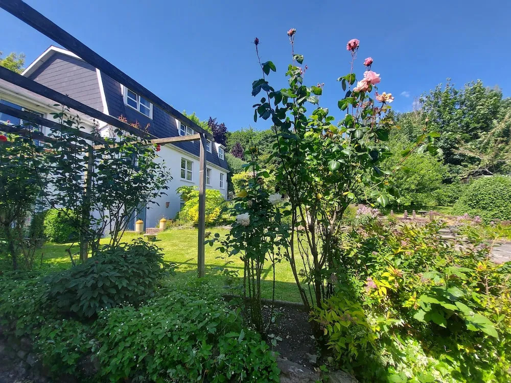 Belvedere Lodge
