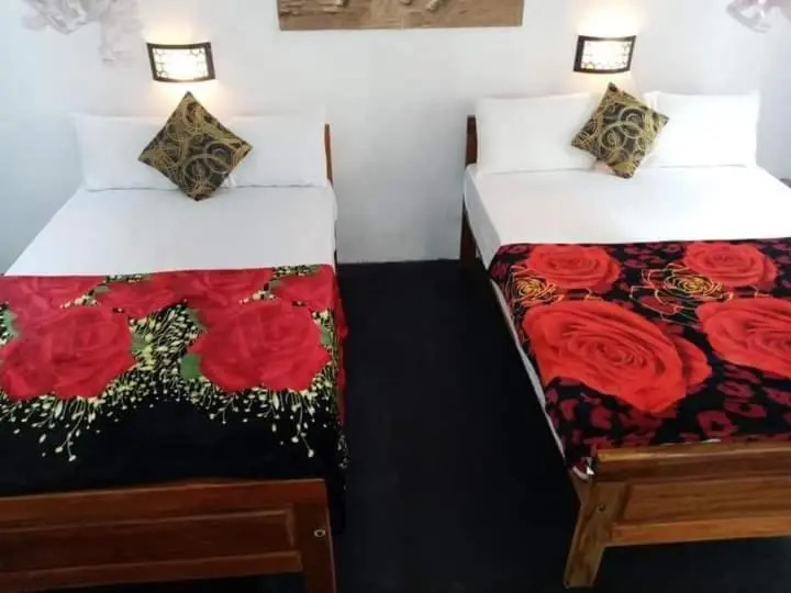 The Horizon Root Inn