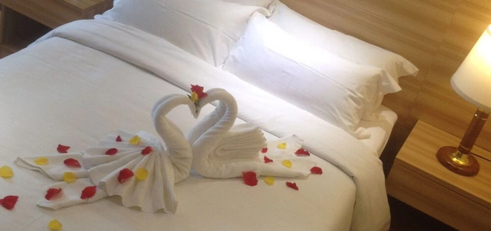 Hotel Luciole