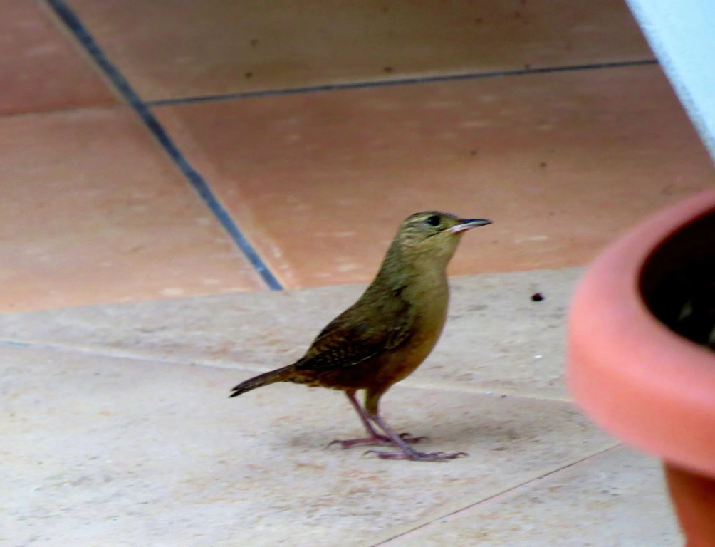 Hotel Arte Natura