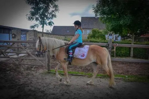 t'Ooievaarsnest