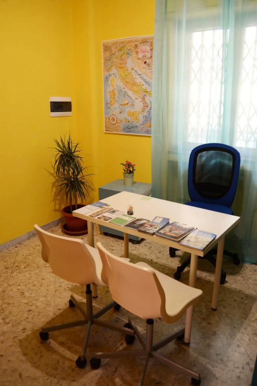 Olive Tree - Hostel