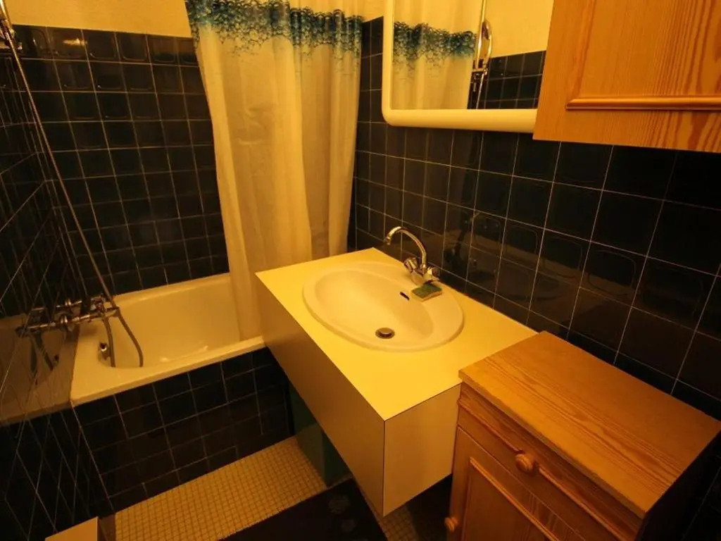 Appartement Bagnères-de-Luchon, 2 pièces, 4 personnes - FR-1-313-146