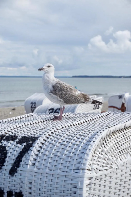 Strandglück