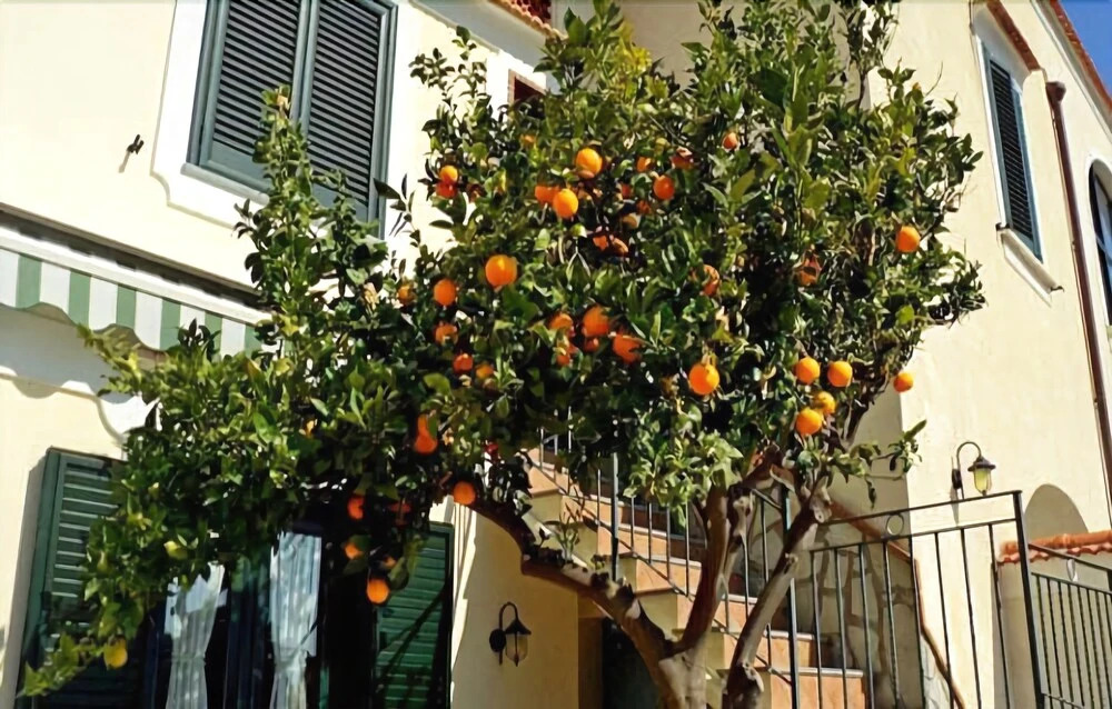 Casa Annalisa