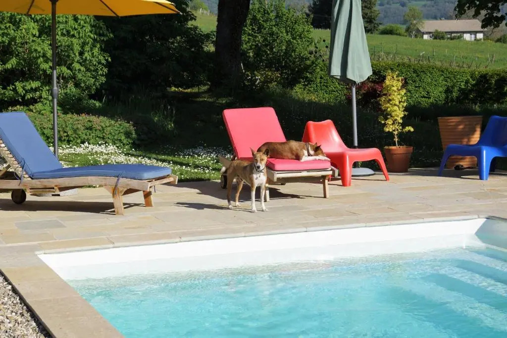 Domaine de Saint Loth