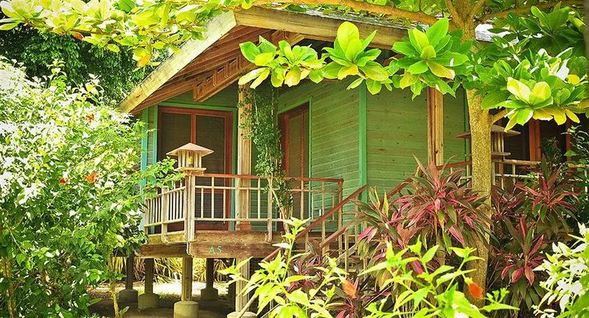 Casa Sunburst