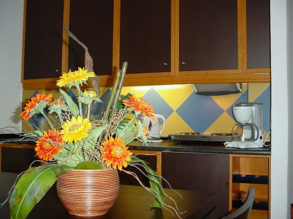 Hotel Apartamento Foz Atlantida