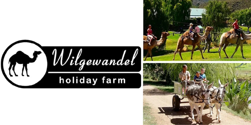 The Bright House Villa
