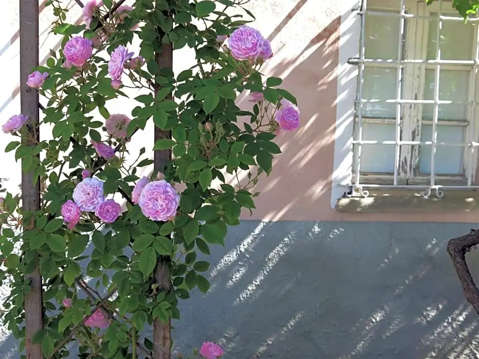B&B Casa Meli