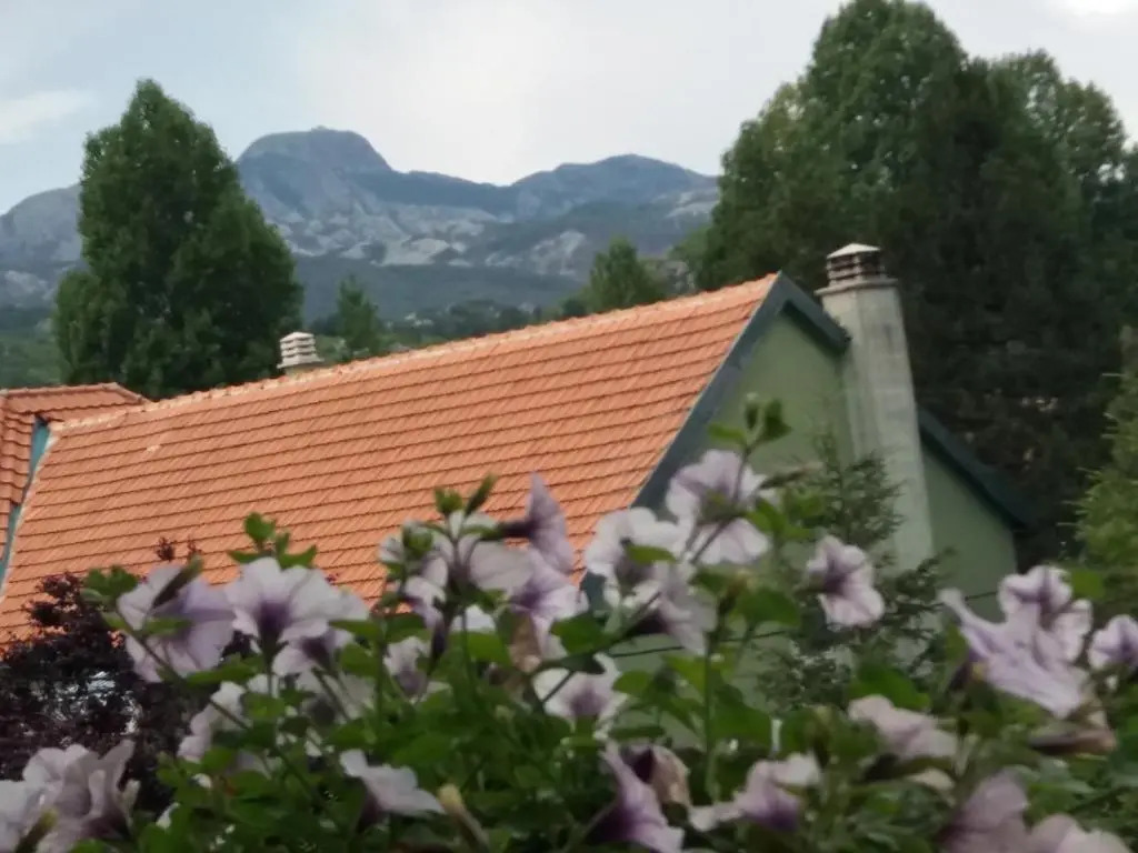 Apartments Mirković
