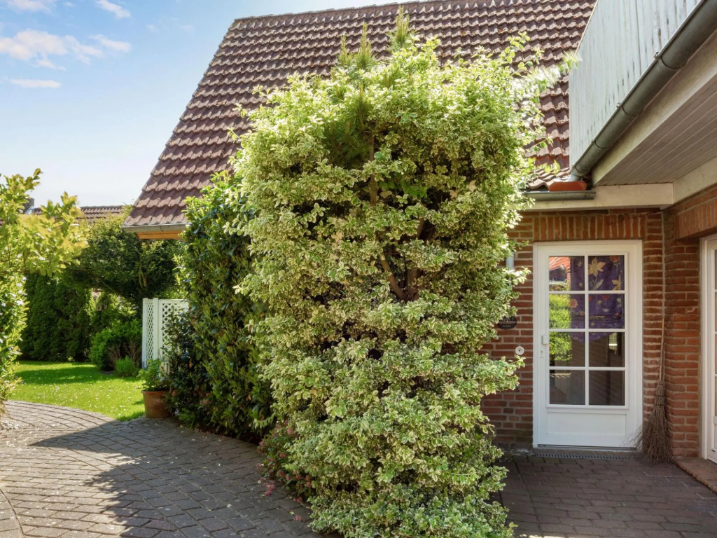 Scenic Apartment in Oldenburg near Sea and Forest max 3 adults
