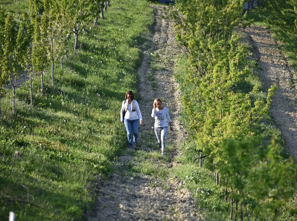 Agriturismo CasaMatilda