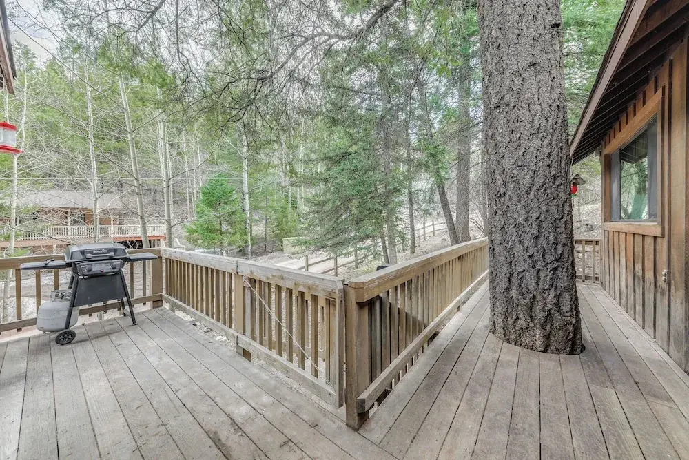 Cloudcroft Cabin Vacation Rental: 3 Mi to Skiing!
